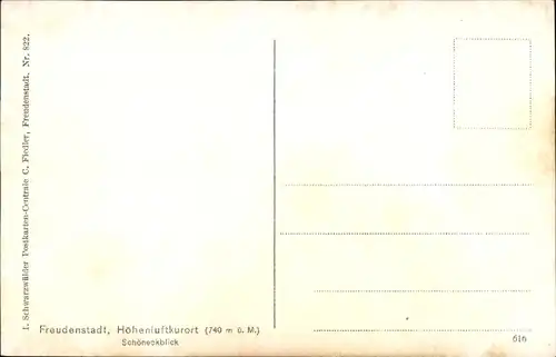 Ak Freudenstadt im Nordschwarzwald, Schöneckblick