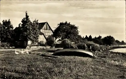 Ak Neuendorf Putbus auf der Insel Rügen, Bauernhaus