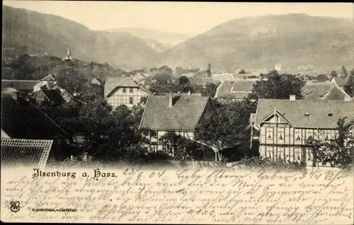 Ak Ilsenburg im Harz, Totalansicht