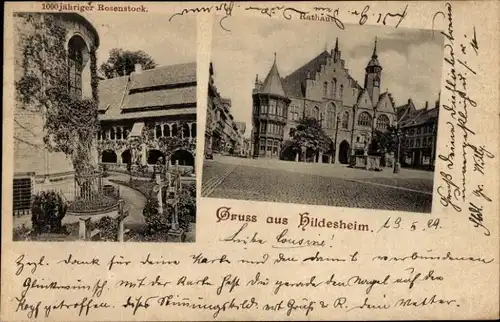 Ak Hildesheim in Niedersachsen, 1000jähriger Rosenstock, Rathaus