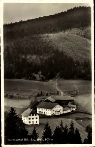 Ak Eck Arrach im Bayerischen Wald Oberpfalz, Waldgasthof, Panorama