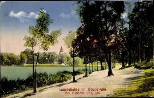 Ak Berlin Wilmersdorf Grunewald, Hundekehle, Panorama