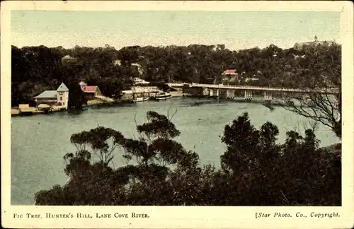 Ak Sydney Australien, Fig Tree Bridge, Hunters Hill, Lane Cove River