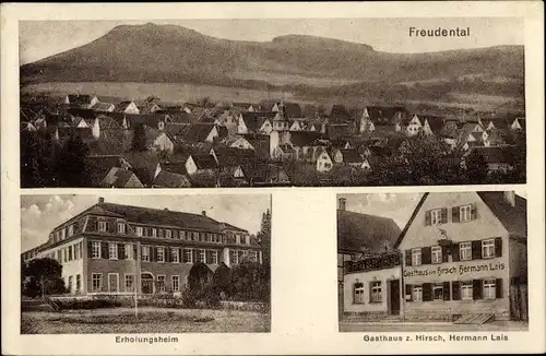 Ak Freudental in Württemberg, Panorama, Erholungsheim, Gasthaus zum Hirsch