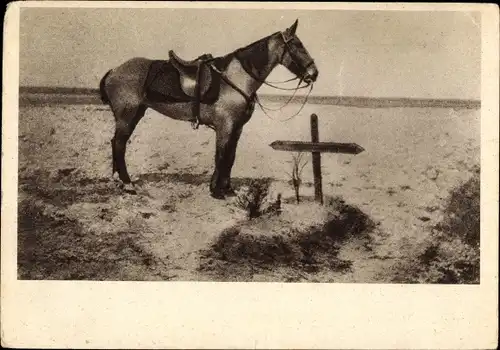 Ak Ein treuer Kamerad, Pferd an einem Soldatengrab