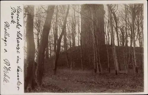 Foto Ak Lauske Weißenberg in Sachsen, Schanzenturm