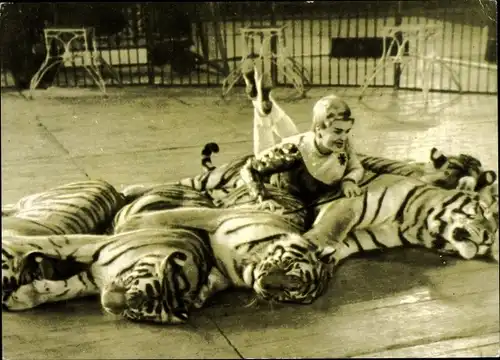 Ak Animal Tamer Margarita Nazarova, Dompteurin, Tiger