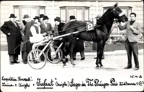 Foto Ak Trabrennsport, Rennbahn Wien, Pferd Infant, Sieger The Plunger Preis 1956, Sulky, Startnr. 8