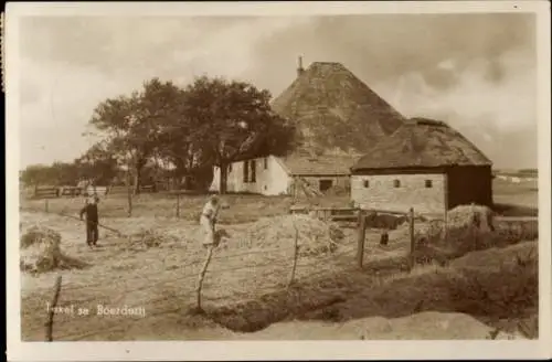 Ak De Koog Texel Nordholland Niederlande, Boerderij