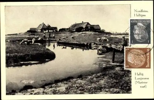 Ak Hallig Langeness Langeneß Nordfriesland, Panorama