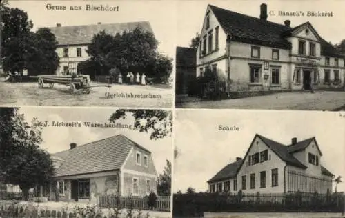 Ak Biskupin Bischdorf Chojnów Haynau, Gerichtskretscham, Bäckerei, Schule, Geschäft J. Liebzeit