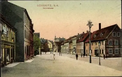 Ak Gößnitz in Thüringen, Dammstraße