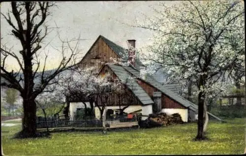 Ak Photochromie, Nenke und Ostermaier 1210, Baumblüte, altes Haus