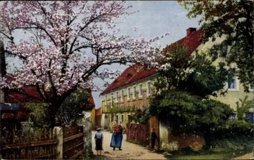 Ak Nenke & Ostermaier Serie 259 Nr. 4021, Baumblüte, Wohnhaus