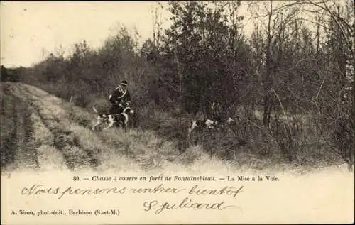 Ak Jagd im Wald von Fontainebleau, Jagdhunde im Gelände