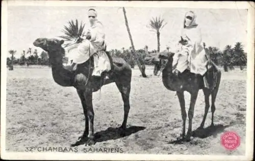 Ak Araber auf Kamelen in der Wüste, Reklame Biscuits Olibet