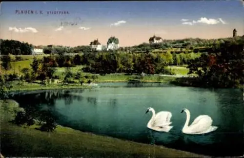 Ak Plauen im Vogtland, Stadtpark, Schwäne auf dem See