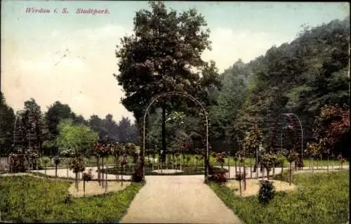 Ak Werdau in Sachsen, Rosengarten im Stadtpark, Bäume