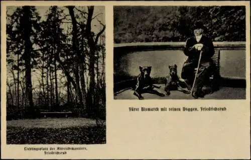 Ak Friedrichsruh Aumühle im Herzogtum Lauenburg, Fürst Bismarck, Doggen, Lieblingsplatz