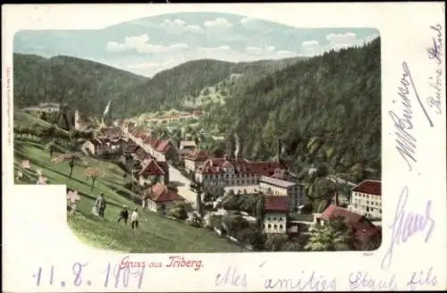 Ak Triberg im Schwarzwald, Panorama