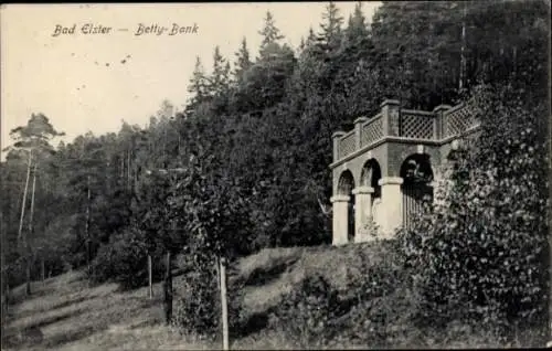 Ak Bad Elster im Vogtland, Betty-Bank