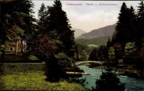 Ak Schwarzburg in Thüringen, Schweizerhaus im Schwarzatal