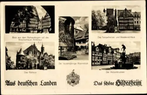 Ak Hildesheim in Niedersachsen, Rathaus, Katzenbrunnen, Wedekindhaus, Tempelherrenhaus