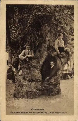 Ak Overveen Bloemendaal Nordholland Niederlande, Jungen in einem großen hohlen Baum