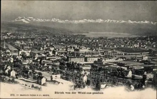 Ak Zürich, Totalansicht von der Waid aus