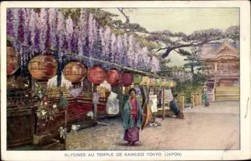 Ak Tokio Tokio Japan, Glyzinien im Kameido-Tempel