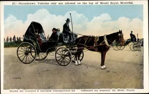 Ak Montreal Quebec Kanada, auf dem Gipfel des Mount Royal sind nur Pferdefahrzeuge erlaubt