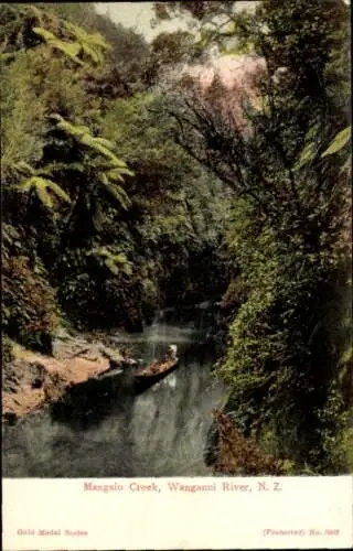 Ak Neuseeland, Mangaio Creek, Wanganui River