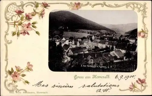 Passepartout Ak Bad Herrenalb im Schwarzwald, Teilansicht mit Kurhaus