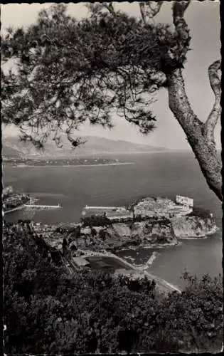 Ak Monaco, La Principaute ent e les Pins