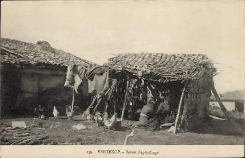 Ak Vertekop Griechenland, Entlausungsszene