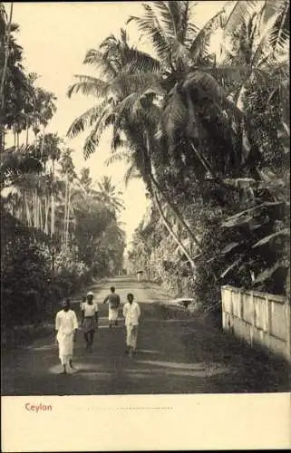 Ak Ceylon Sri Lanka, Straße