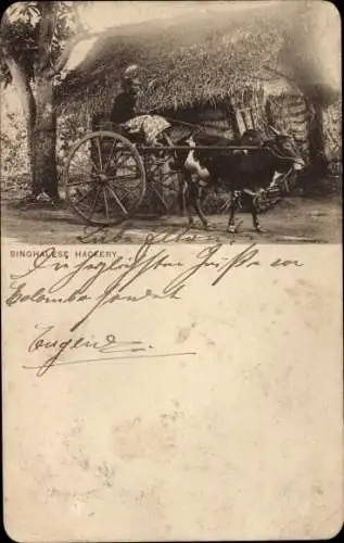 Ak Ceylon Sri Lanka, Singhalesische Hackerei