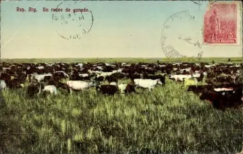 Ak Argentinien, Viehabtrieb, Rinderherde auf der Wiese