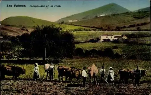 Ak Las Palmas de Gran Canaria Kanarische Inseln, Campesinos en la Trilla