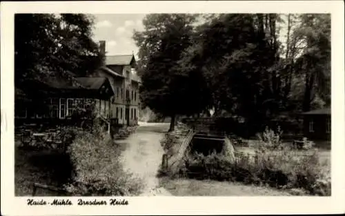 Ak Dresden Loschwitz, Dresdner Heide, Haide-Mühle