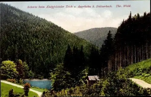 Ak Stützerbach Ilmenau Thüringer Wald, Schorte beim Knöpfelstaler Teich, Auerhahn