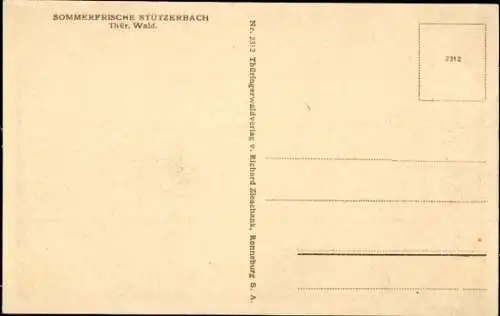 Ak Schmiedefeld am Rennsteig Thüringen, Totalansicht