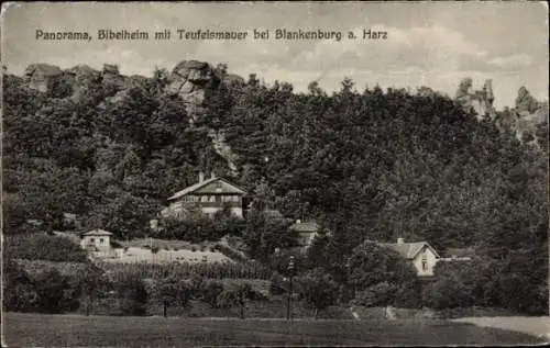 Ak Blankenburg am Harz, Panorama Bibelheim mit Teufelsmauer