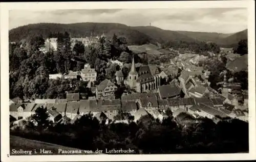 Ak Stolberg im Harz, Panorama von der Lutherbuche