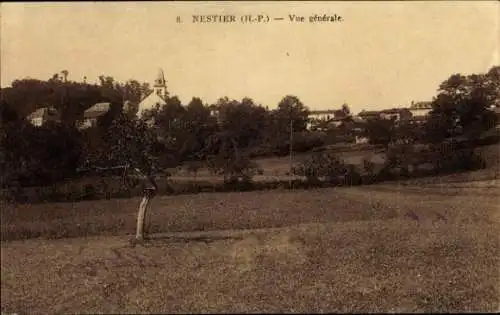 Ak Nestier Hautes Pyrénées, Teilansicht