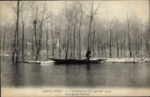 Ak-Überschwemmung 1910, Bois de la Guiche, Seine