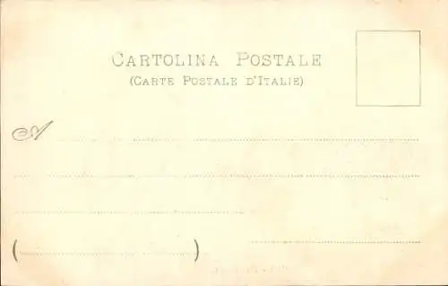 Ak Torino Turin Piemonte, Panorama