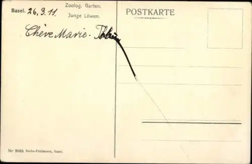 Ak Basel Stadt Schweiz, Zoologischer Garten, Junge Löwen