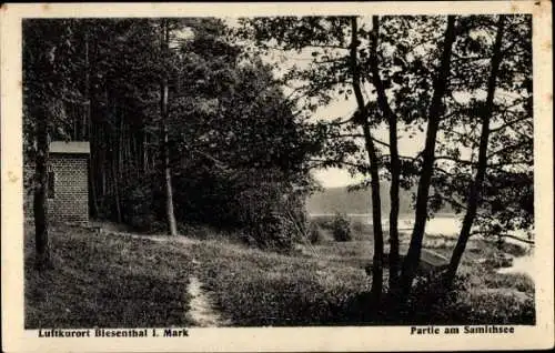 Ak Biesenthal in der Mark, Samithsee