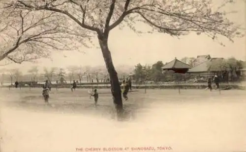 Ak Tokio Tokio Japan, Die Kirschblüte in Shinobazu